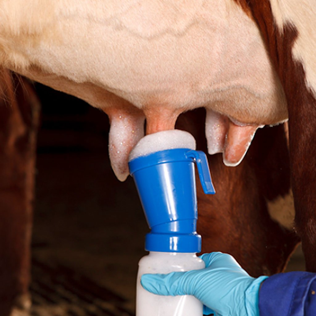 bovidv013 aplicador iodo c retorno pre pos dipping vaca leite bovitec arkuero 1